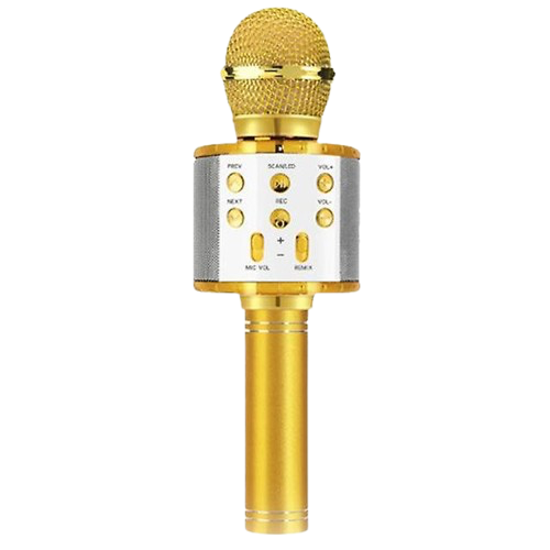 Wireless Microphone Hifi Speaker - Gold