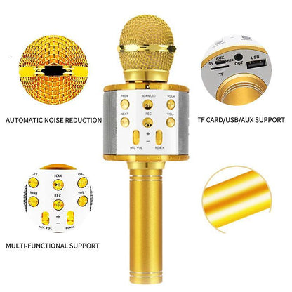 Wireless Microphone Hifi Speaker - Gold