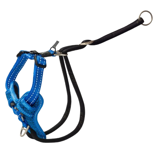 Rogz Utility Medium 16mm Stop-Pull Harness - Blue