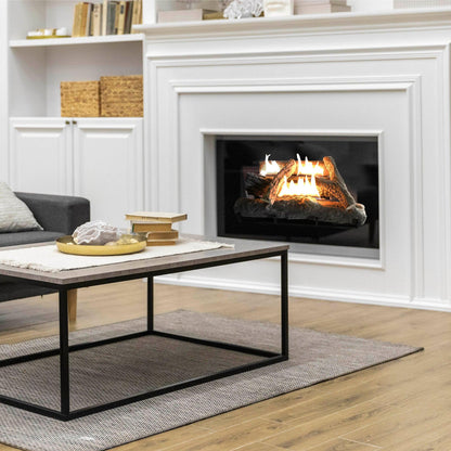 Alva Log Fireplace Gas Heater 670mm Wide